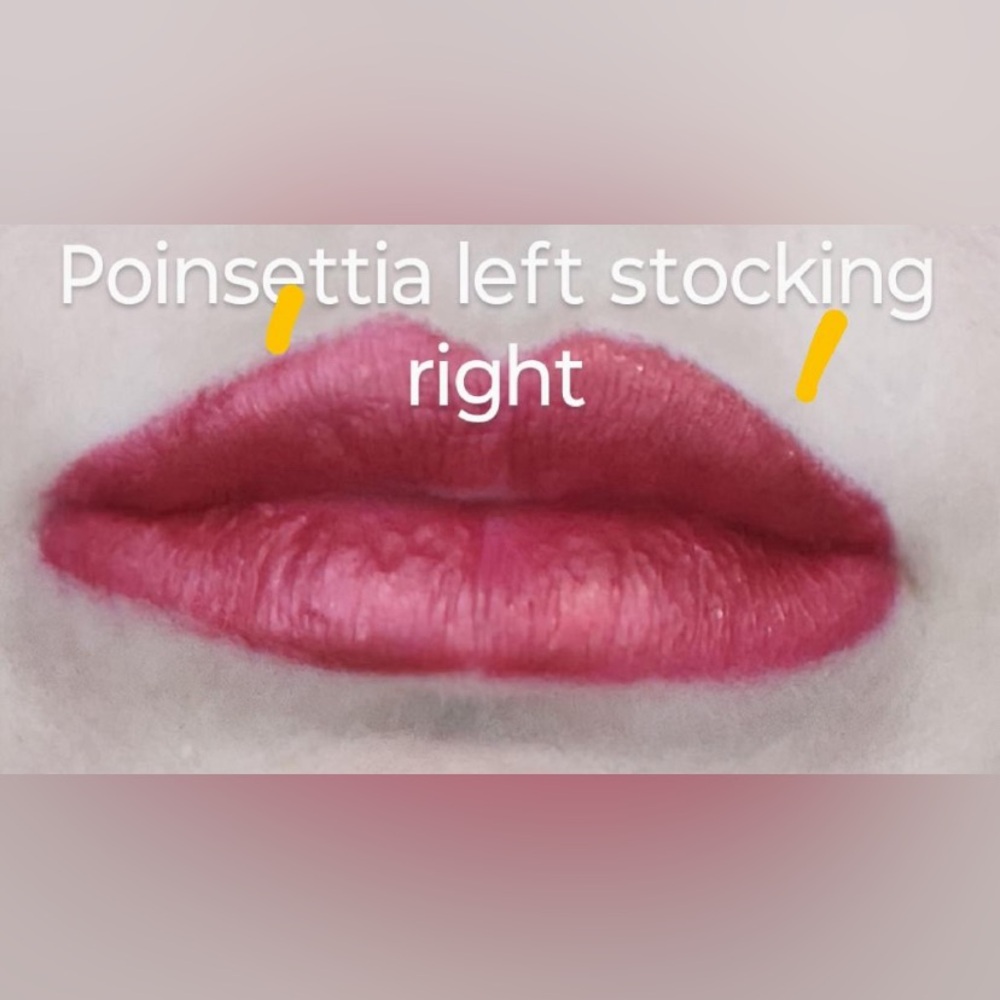 Poinsettia vs Christmas Stocking JEFFREE Star Velour Liquid Lipstick